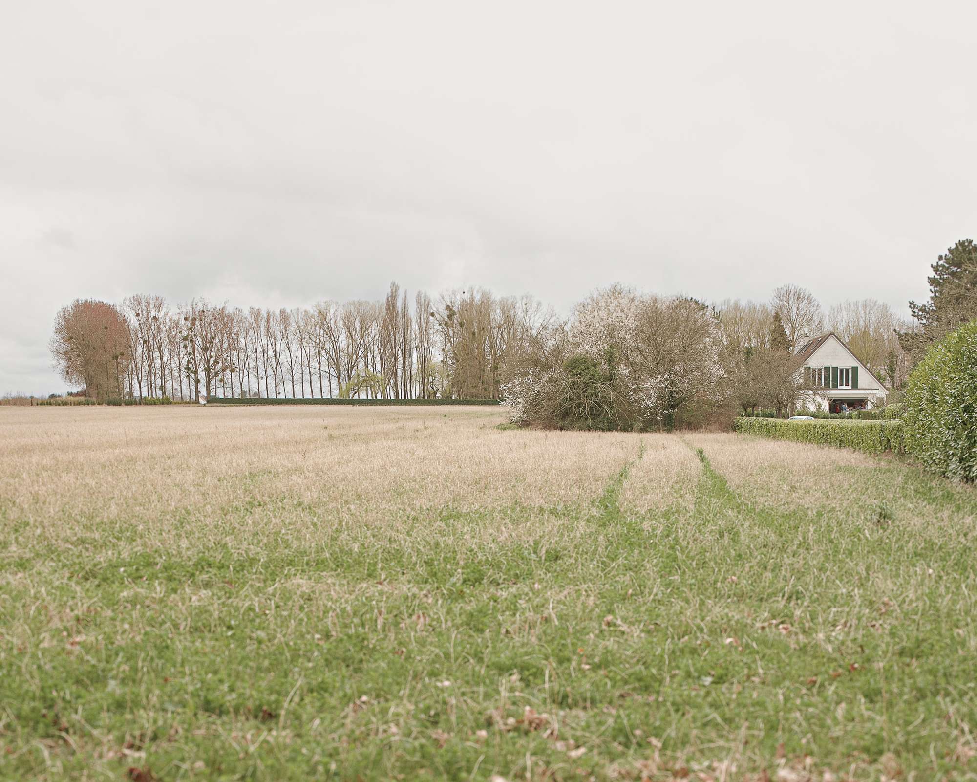 Paysage du quartier de Chevry à Gif sur Yvette